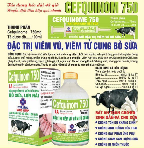 CEFQUINOM 750 đặc trị viêm vú ở bò sữa