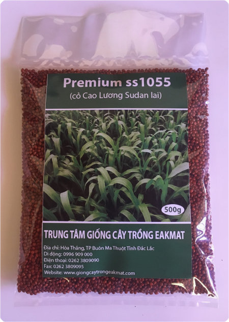 Bao bì giống cỏ Cao Lương Sudan Premium ss1055